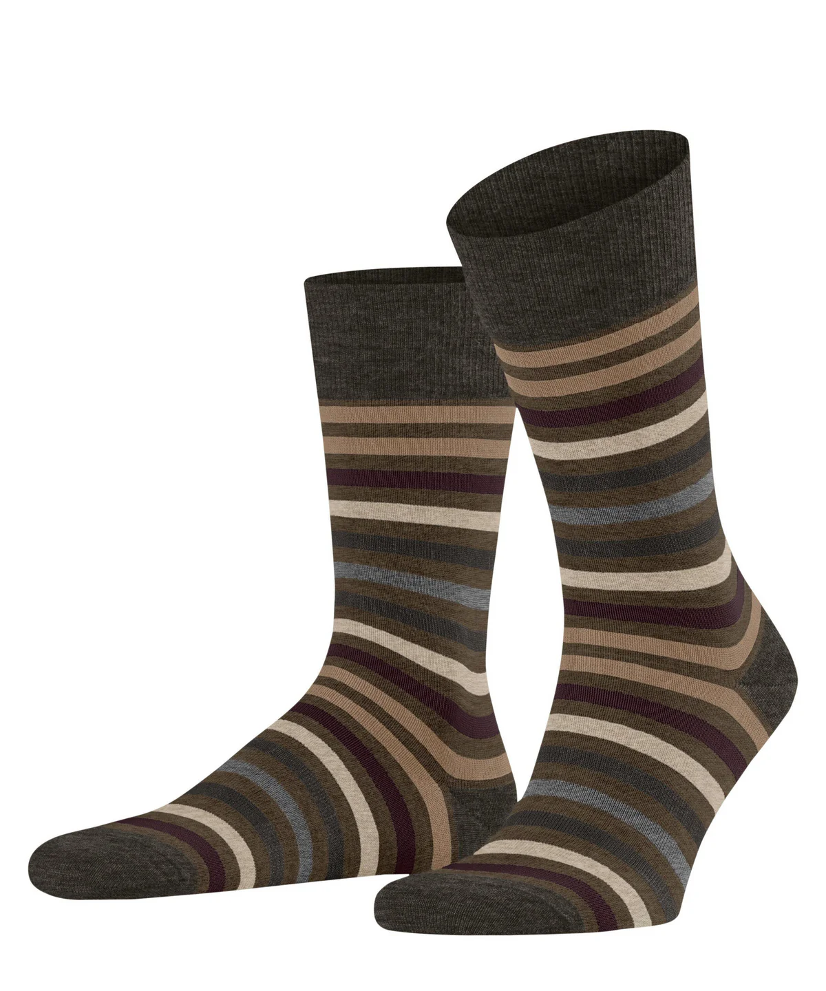 Tinted Stripe Beech - Image 2
