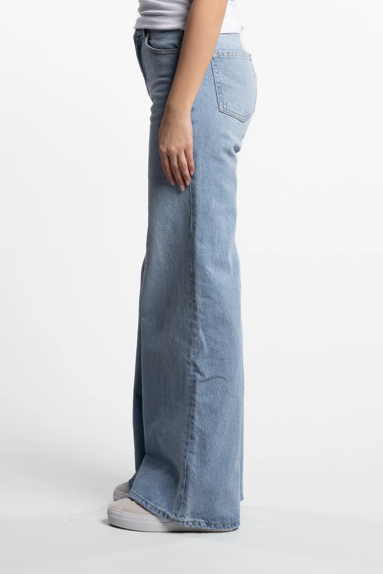 Taylor- Light Blue - Image 3
