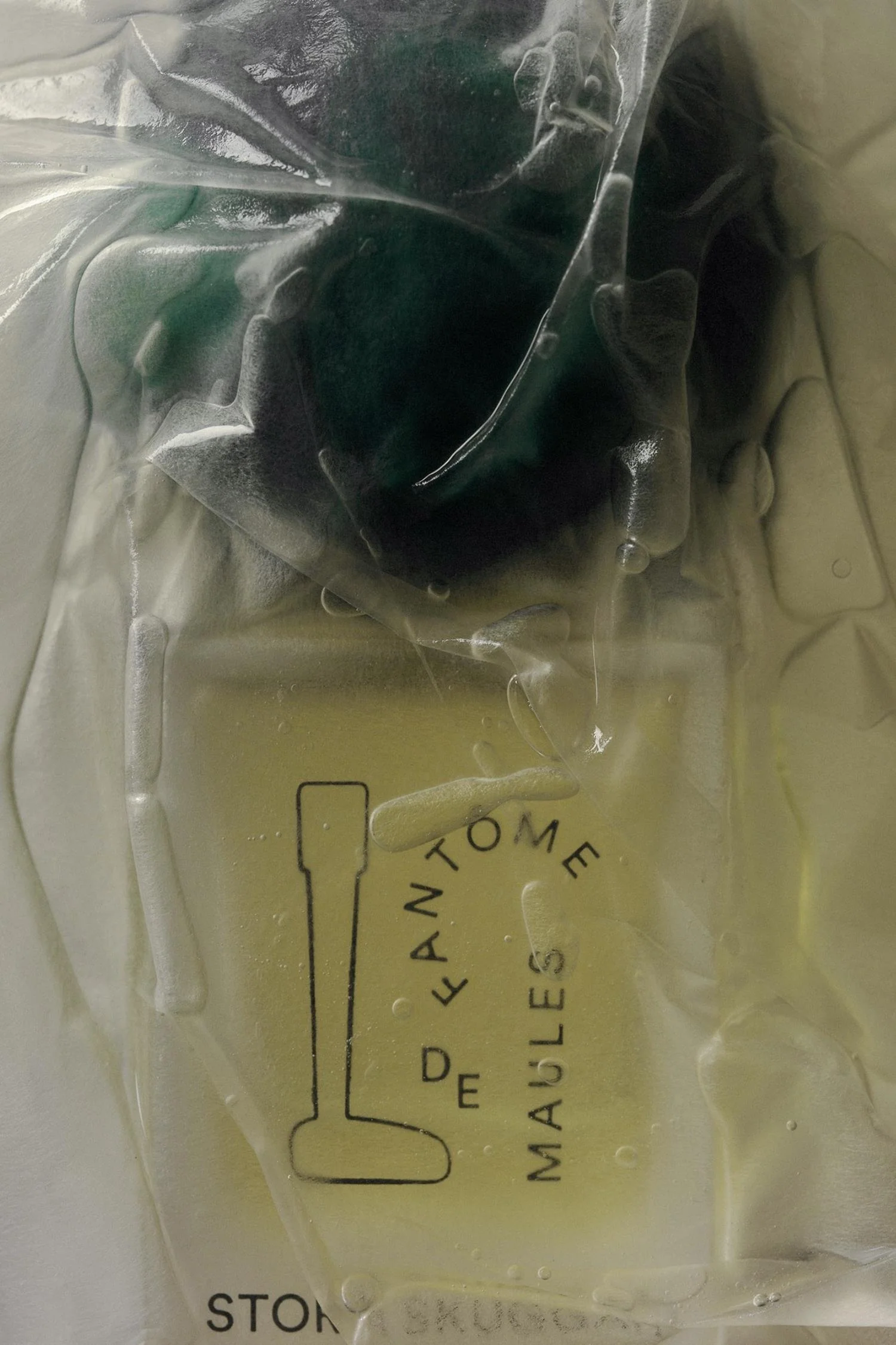 Fantôme de Maules EdP - Image 3