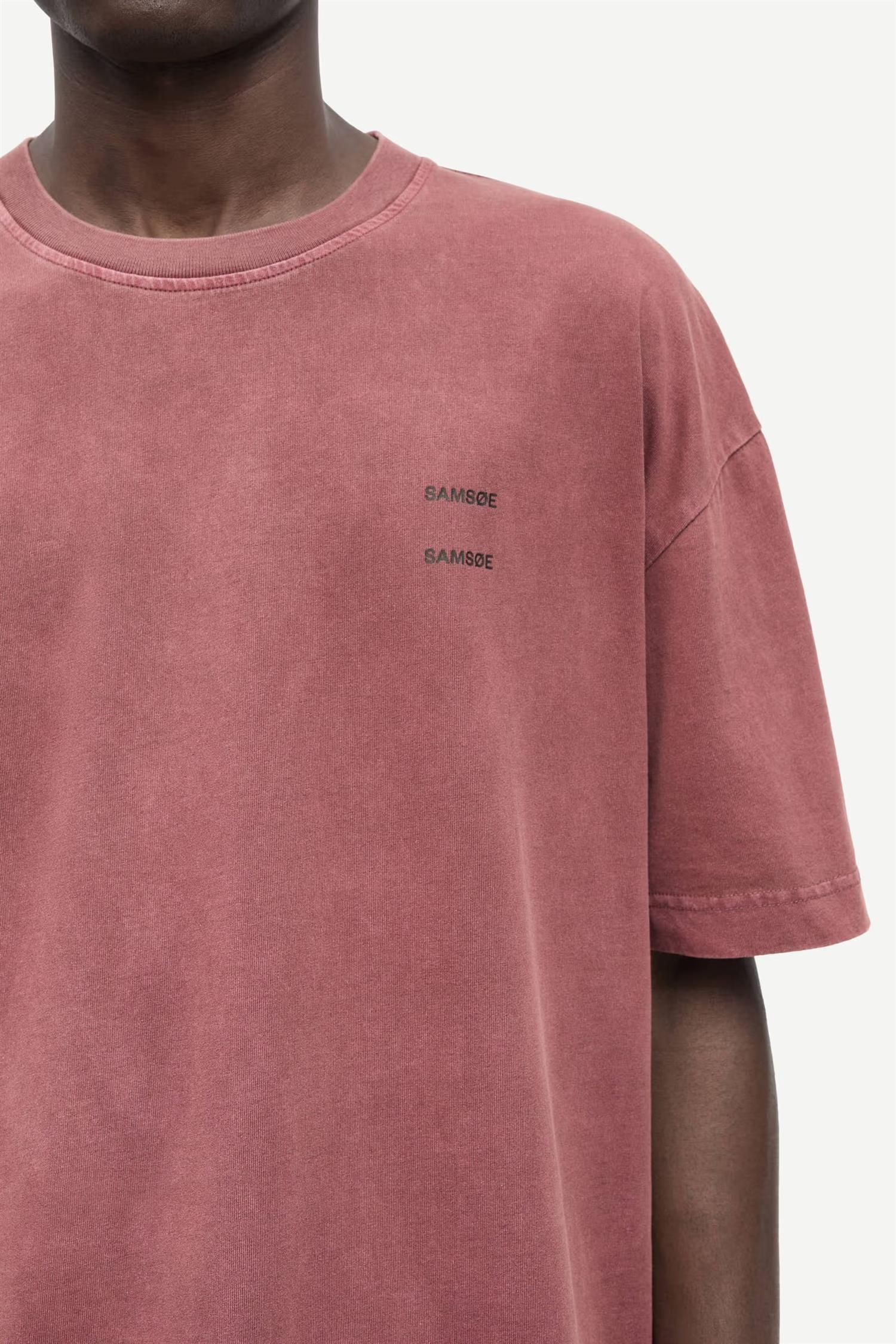 Sajoel T-shirt Rum Raisin - Image 3