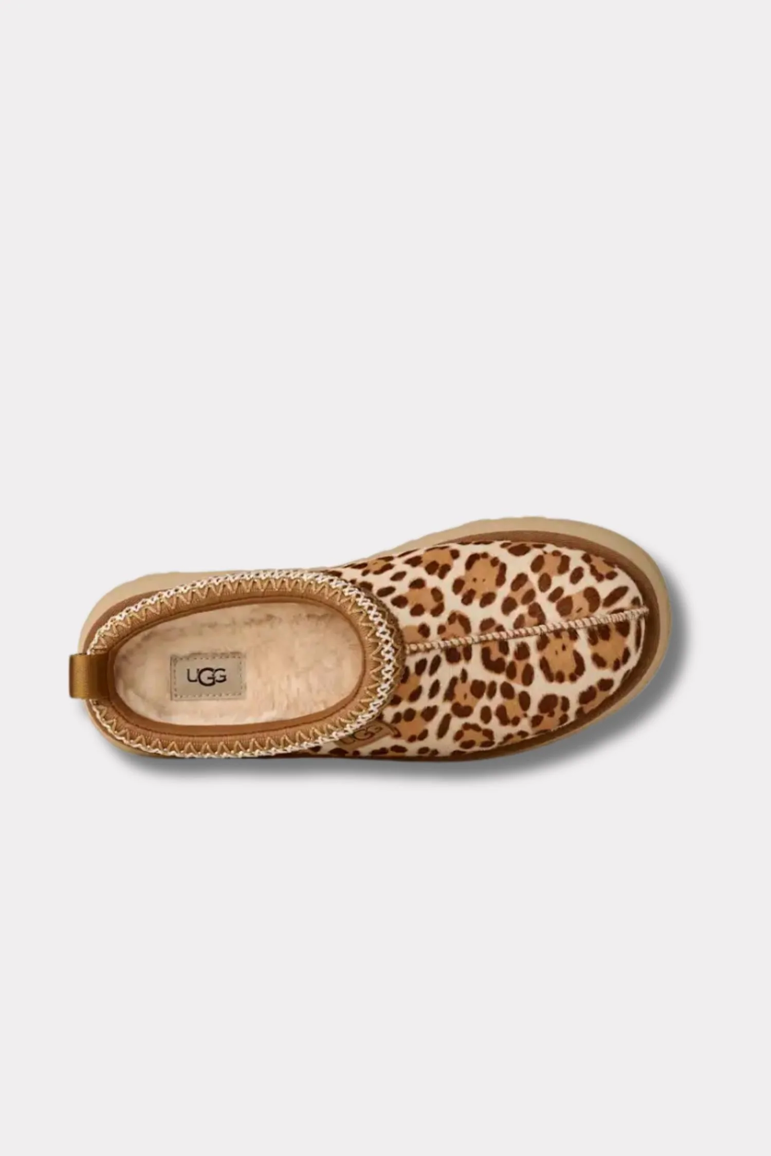 W Tazz Plains- Felicity Leopard Jasmine - Image 6