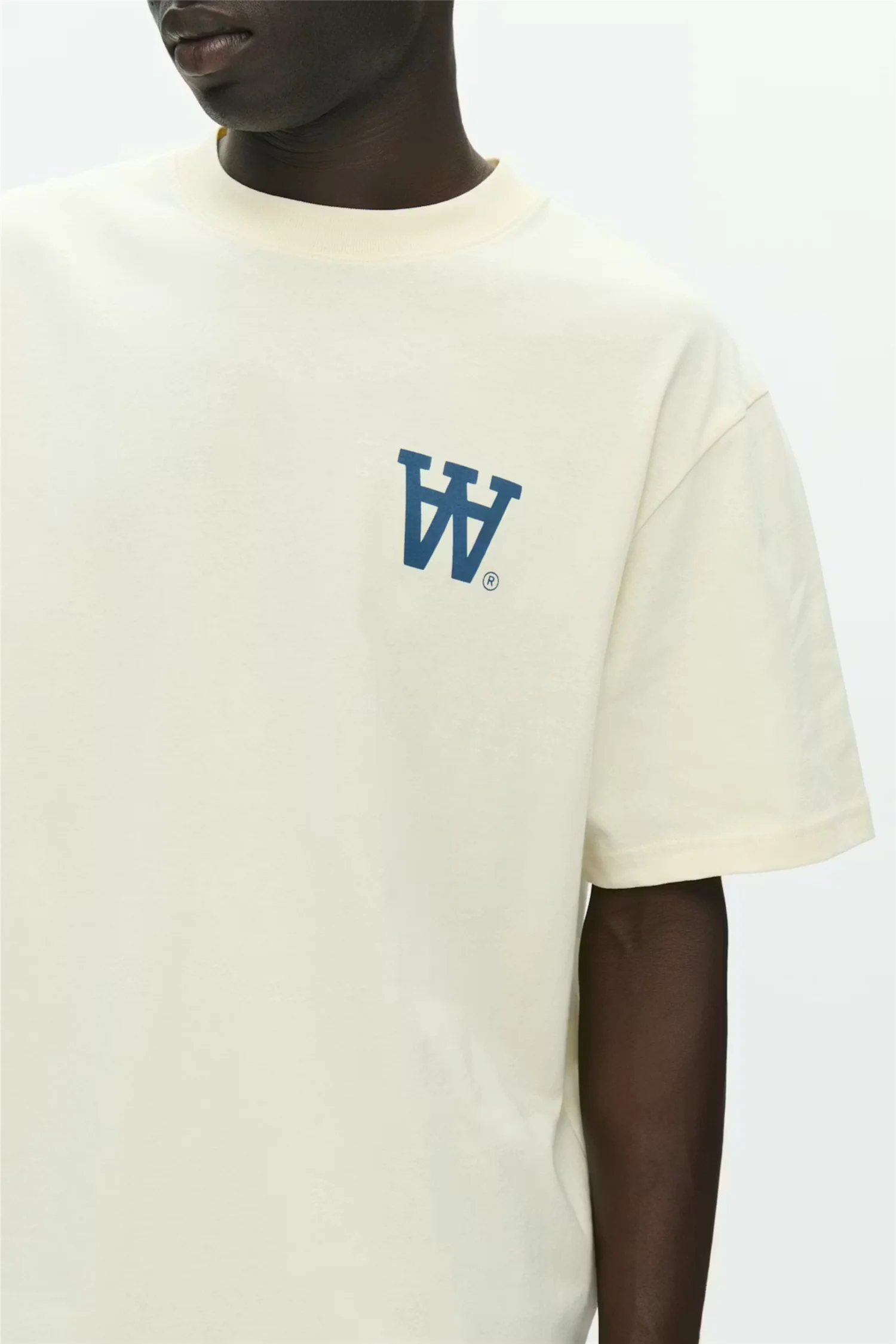 Liam Tee Turtledove - Image 4