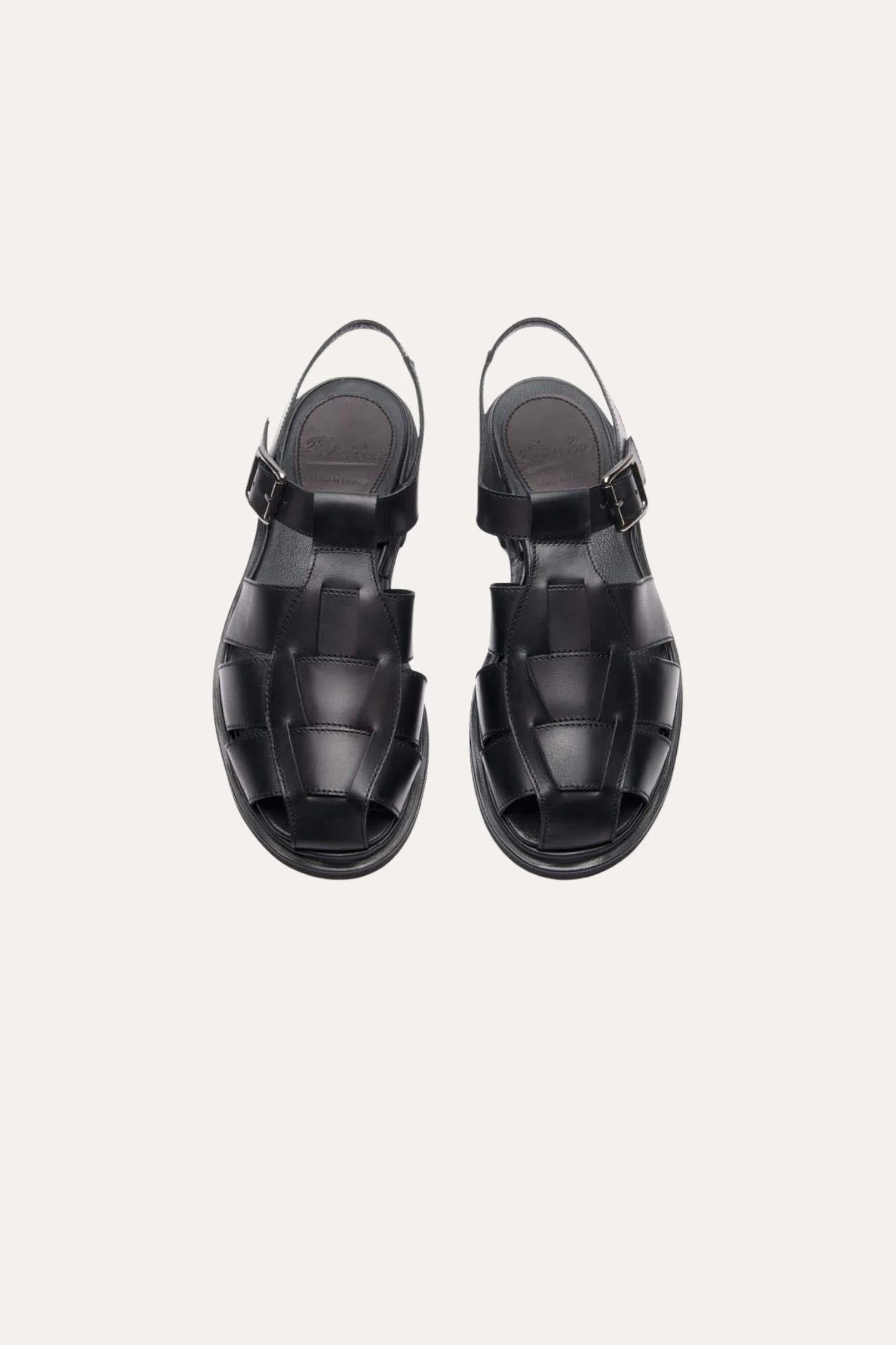 Iberis- Black - Image 3