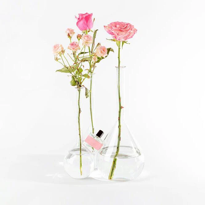Eau de Parfume 101- 30ml | Rose, erteblomst og hvit sedertre - Image 3