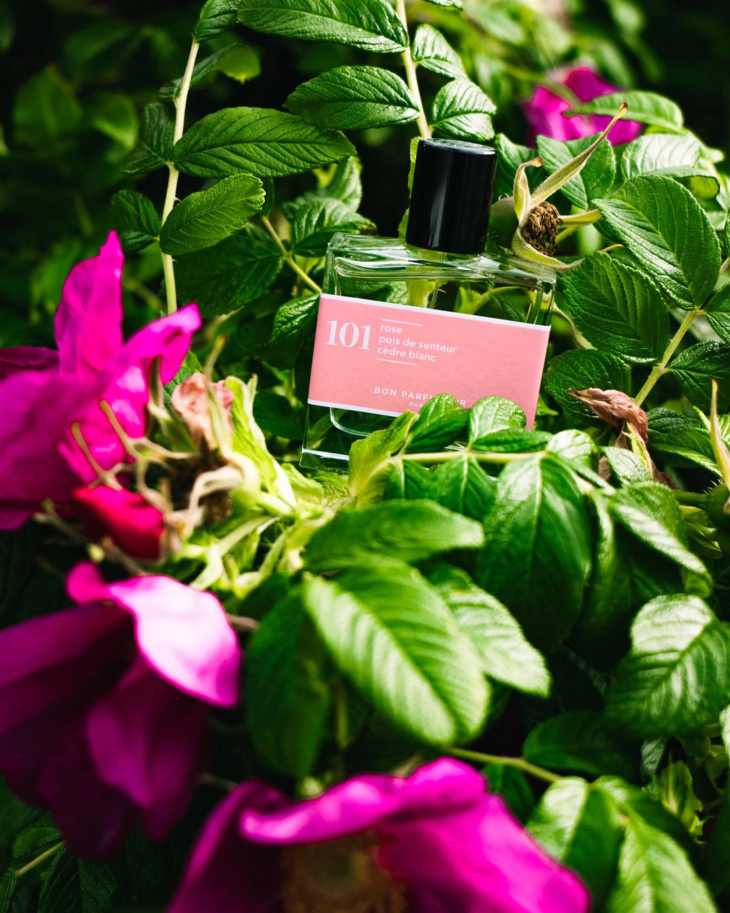 Eau de Parfume 101- 30ml | Rose, erteblomst og hvit sedertre - Image 5