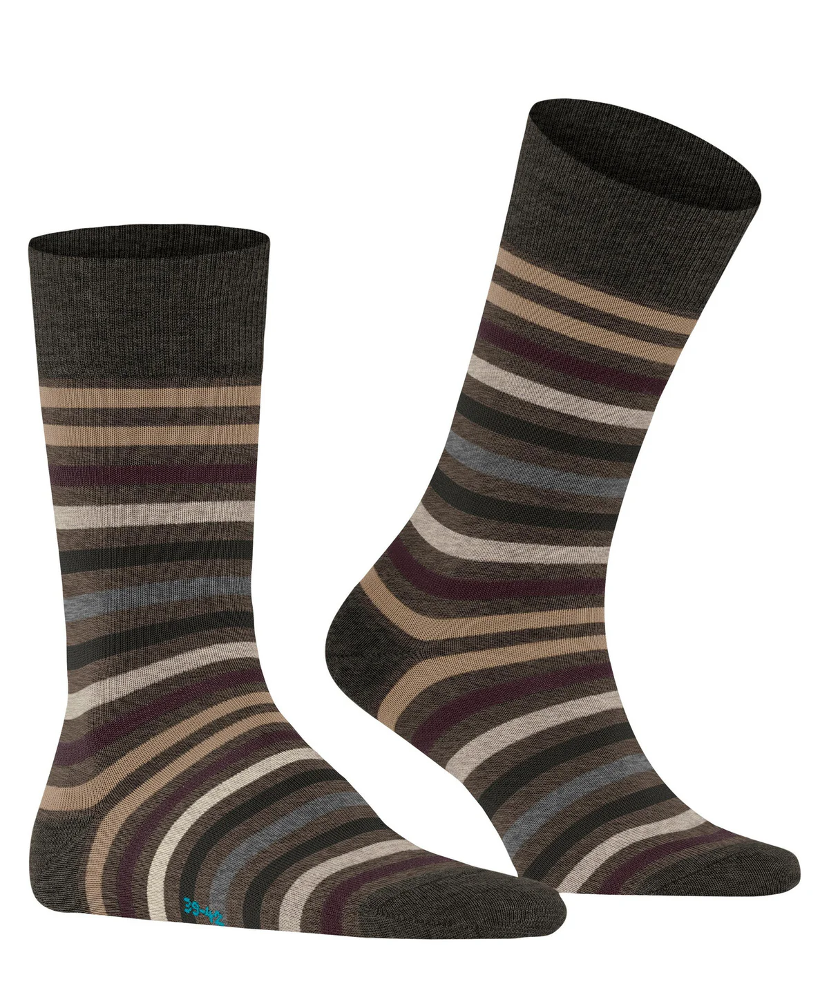 Tinted Stripe Beech - Image 2
